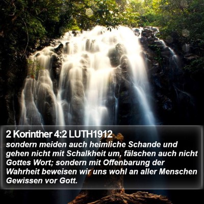 2 Korinther 4:2 LUTH1912 Bible Verse Image
