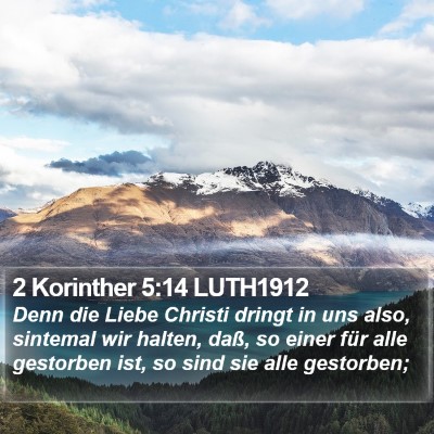 2 Korinther 5:14 LUTH1912 Bible Verse Image