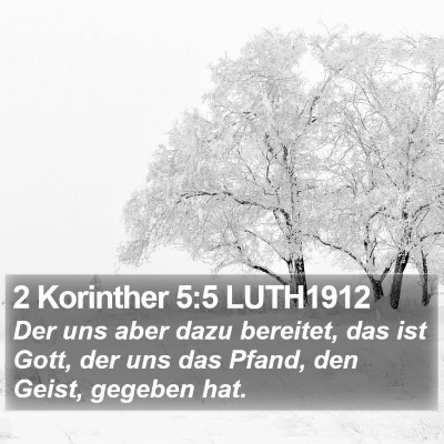 2 Korinther 5:5 LUTH1912 Bible Verse Image