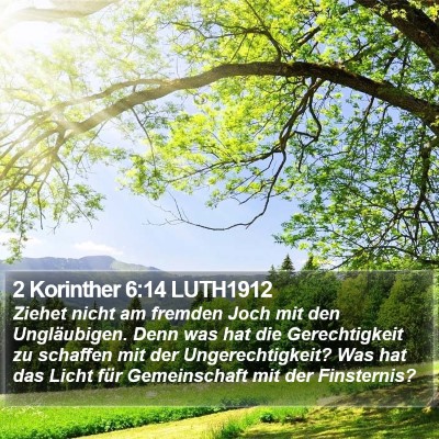 2 Korinther 6:14 LUTH1912 Bible Verse Image