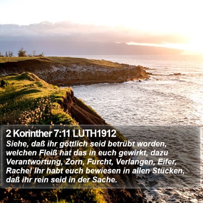2 Korinther 7:11 LUTH1912 Bible Verse Image