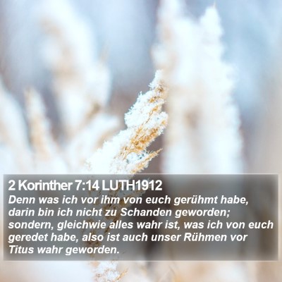 2 Korinther 7:14 LUTH1912 Bible Verse Image
