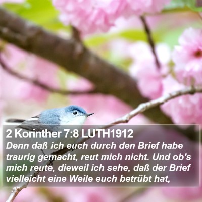 2 Korinther 7:8 LUTH1912 Bible Verse Image