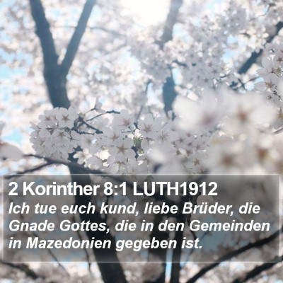 2 Korinther 8:1 LUTH1912 Bible Verse Image