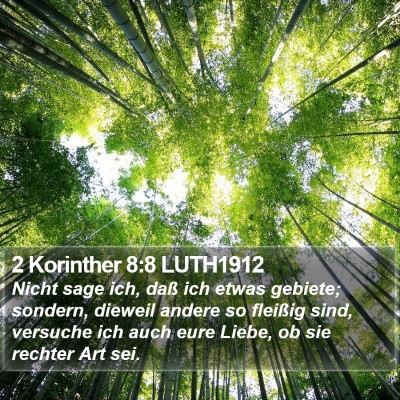 2 Korinther 8:8 LUTH1912 Bible Verse Image