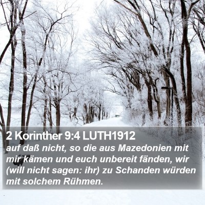 2 Korinther 9:4 LUTH1912 Bible Verse Image
