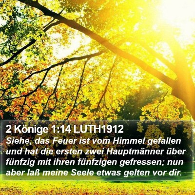 2 Könige 1:14 LUTH1912 Bible Verse Image