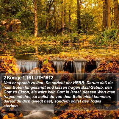 2 Könige 1:16 LUTH1912 Bible Verse Image
