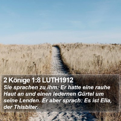 2 Könige 1:8 LUTH1912 Bible Verse Image