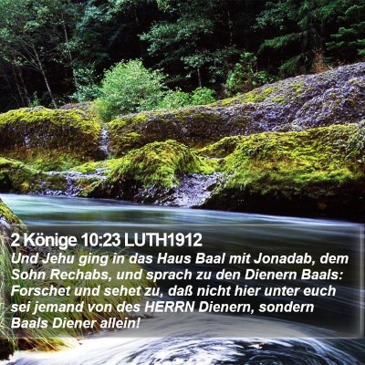 2 Könige 10:23 LUTH1912 Bible Verse Image