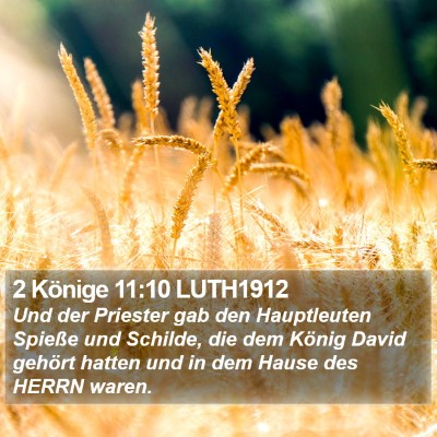 2 Könige 11:10 LUTH1912 Bible Verse Image