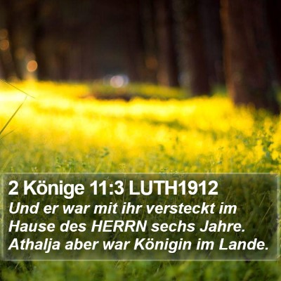 2 Könige 11:3 LUTH1912 Bible Verse Image
