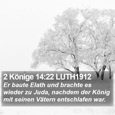 2 Könige 14:22 LUTH1912 Bible Verse Image