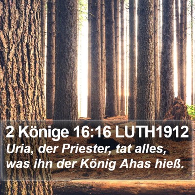 2 Könige 16:16 LUTH1912 Bible Verse Image