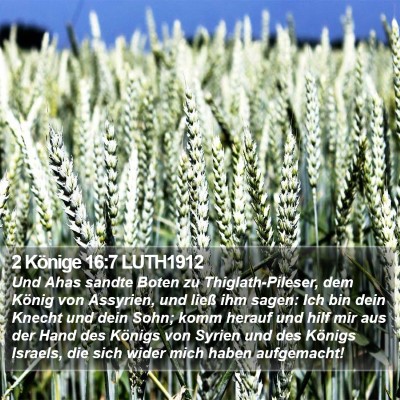 2 Könige 16:7 LUTH1912 Bible Verse Image