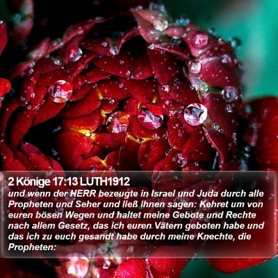 2 Könige 17:13 LUTH1912 Bible Verse Image