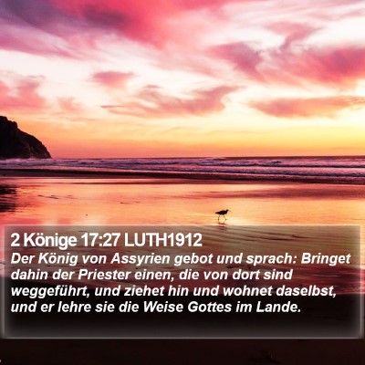 2 Könige 17:27 LUTH1912 Bible Verse Image