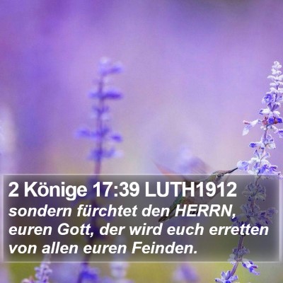 2 Könige 17:39 LUTH1912 Bible Verse Image