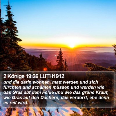 2 Könige 19:26 LUTH1912 Bible Verse Image