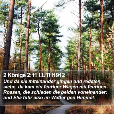 2 Könige 2:11 LUTH1912 Bible Verse Image