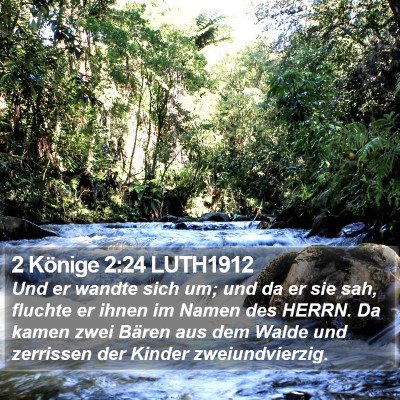 2 Könige 2:24 LUTH1912 Bible Verse Image