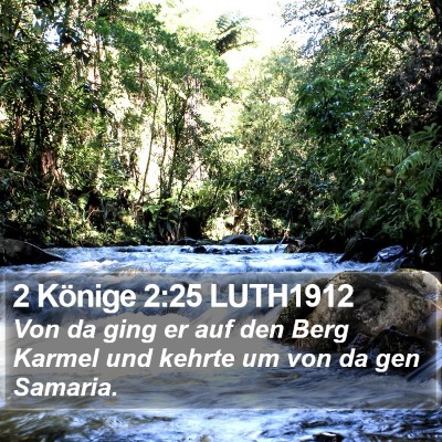 2 Könige 2:25 LUTH1912 Bible Verse Image