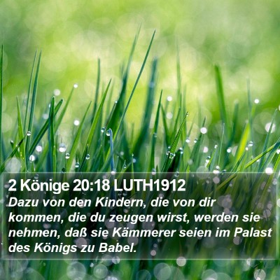 2 Könige 20:18 LUTH1912 Bible Verse Image