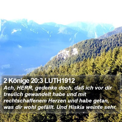 2 Könige 20:3 LUTH1912 Bible Verse Image