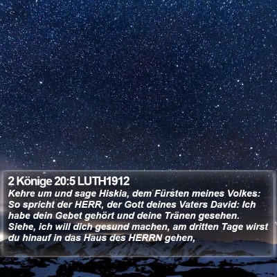 2 Könige 20:5 LUTH1912 Bible Verse Image
