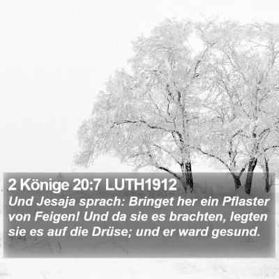 2 Könige 20:7 LUTH1912 Bible Verse Image