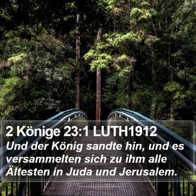 2 Könige 23:1 LUTH1912 Bible Verse Image