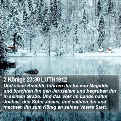 2 Könige 23:30 LUTH1912 Bible Verse Image