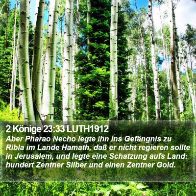 2 Könige 23:33 LUTH1912 Bible Verse Image