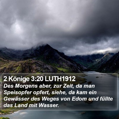 2 Könige 3:20 LUTH1912 Bible Verse Image