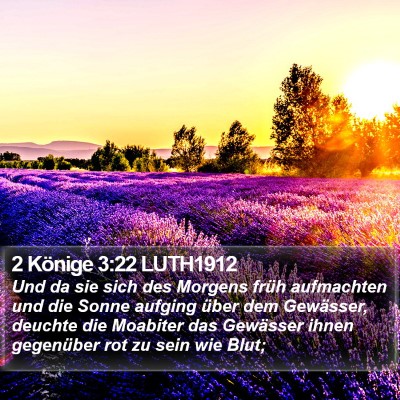 2 Könige 3:22 LUTH1912 Bible Verse Image