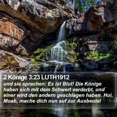 2 Könige 3:23 LUTH1912 Bible Verse Image
