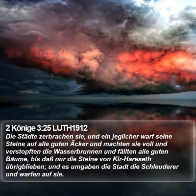 2 Könige 3:25 LUTH1912 Bible Verse Image