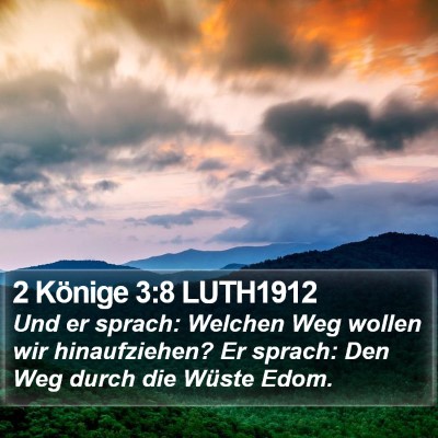 2 Könige 3:8 LUTH1912 Bible Verse Image