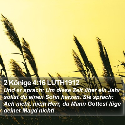 2 Könige 4:16 LUTH1912 Bible Verse Image