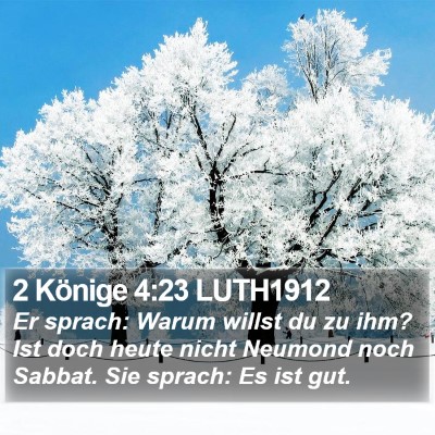 2 Könige 4:23 LUTH1912 Bible Verse Image