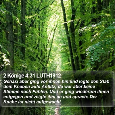 2 Könige 4:31 LUTH1912 Bible Verse Image