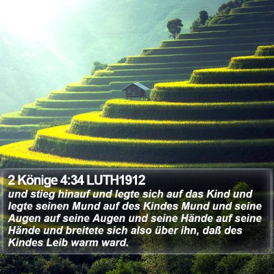 2 Könige 4:34 LUTH1912 Bible Verse Image