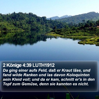 2 Könige 4:39 LUTH1912 Bible Verse Image