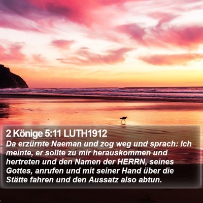 2 Könige 5:11 LUTH1912 Bible Verse Image