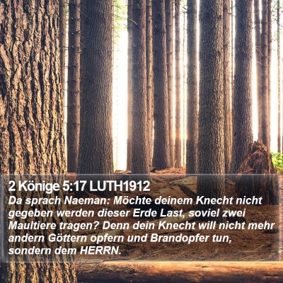 2 Könige 5:17 LUTH1912 Bible Verse Image