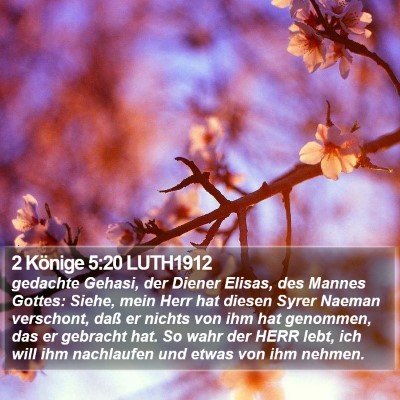2 Könige 5:20 LUTH1912 Bible Verse Image