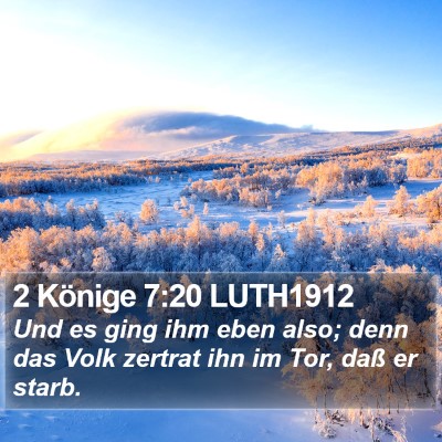 2 Könige 7:20 LUTH1912 Bible Verse Image