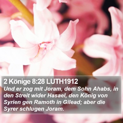 2 Könige 8:28 LUTH1912 Bible Verse Image