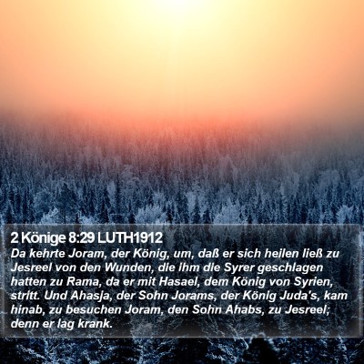 2 Könige 8:29 LUTH1912 Bible Verse Image