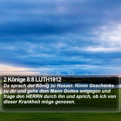 2 Könige 8:8 LUTH1912 Bible Verse Image